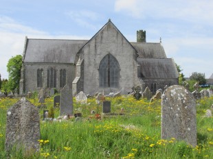 St. Colman’s Cathedral, Cloyne, Co. Cork