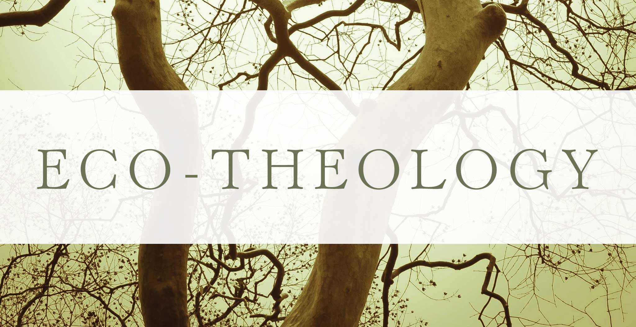 eco-theology-foresight